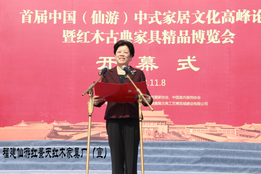 全國(guó)人大常委會(huì)副委員長(zhǎng)陳至立